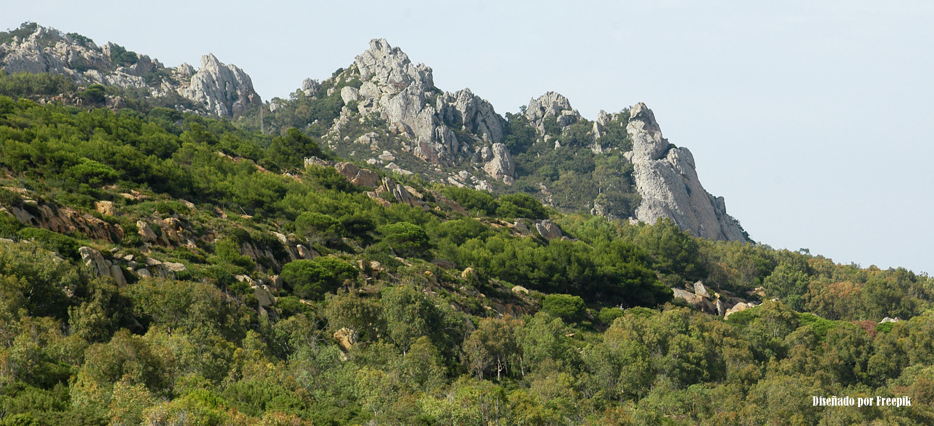 Turismo cultural en la Sierra de Gredos: historia, patrimonio y naturaleza viva