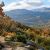 El otoño llega al Valle del Tiétar: naturaleza, gastronomía y escapadas rurales